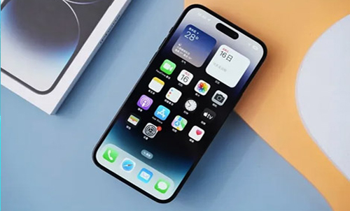 郑云灿家境怎么样 郑云灿个人资料详情介绍